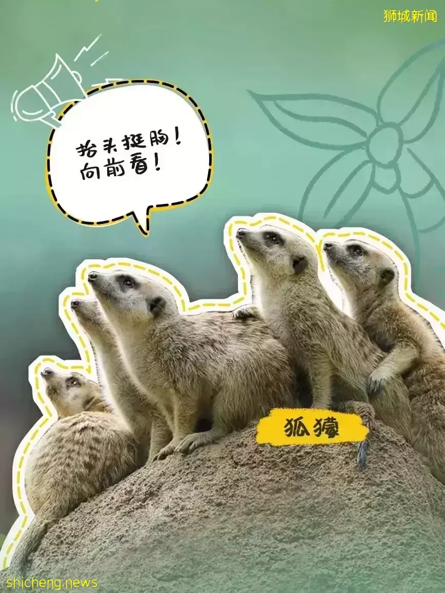 又是想去新加坡旅游的第N+1天！先收藏这份‘新加坡旅行攻略’来解馋吧