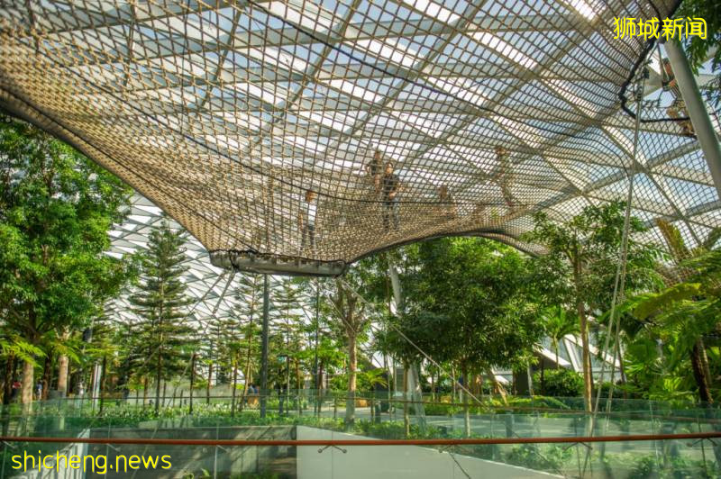 Jewel限时优惠,凭当日消费小票,可兑换双人Canopy Park免费门票!【有效期至9月30日】