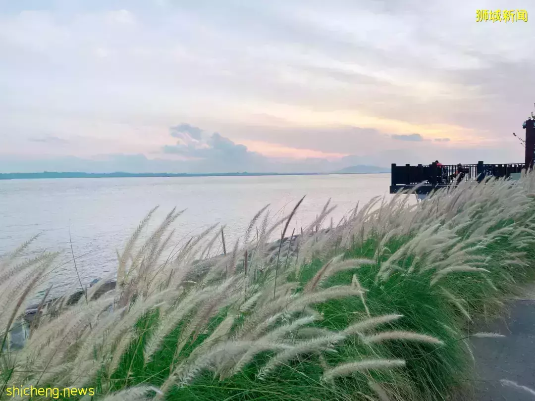 新加坡最新网红景点!风景绝美必打卡