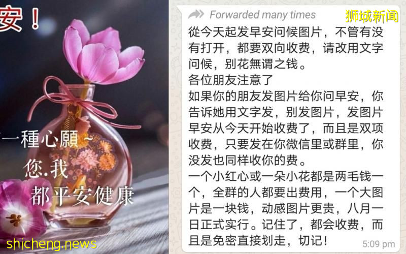 网传发早安图需收费？假的