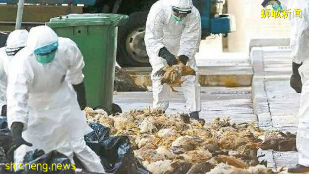 全球確診破700萬!2020,見證曆史的一年!