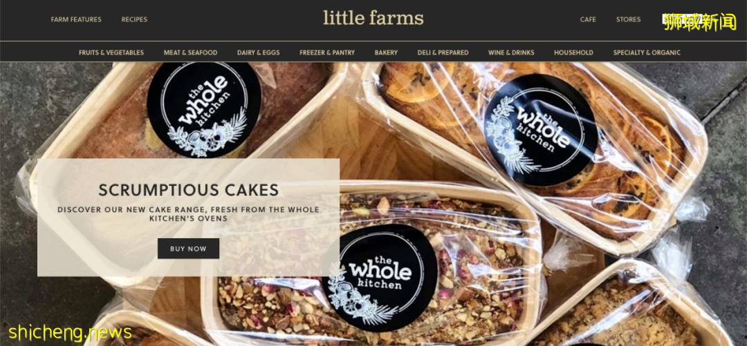 買菜必備!新加坡26個購物平台,解決你所有問題