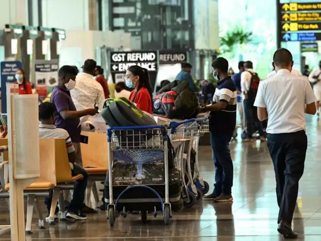 病例即將日增1萬5000起,新加坡爲什麽不急?!原來是這6個原因