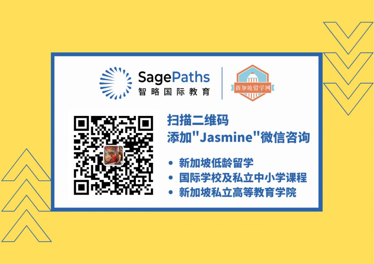 如何從新加坡帶寵物回中國？鏟屎官回國最全攻略！必須收藏