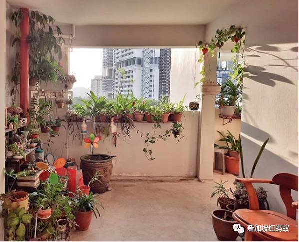 新加坡人镜头下“家的形状”是什么? 答案就在2500多张照片里