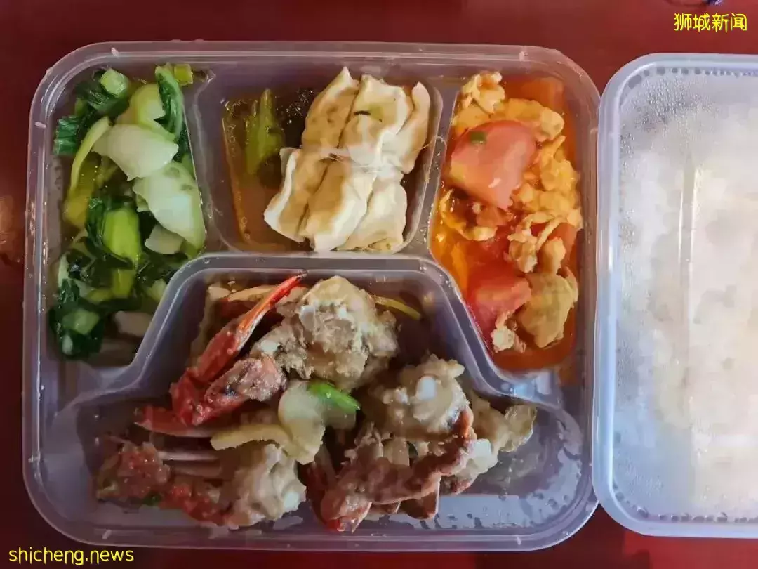 “这个春节,我终于从新加坡回到了中国”