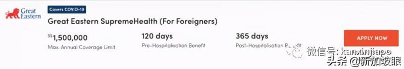 父母來新加坡，應該買什麽保險