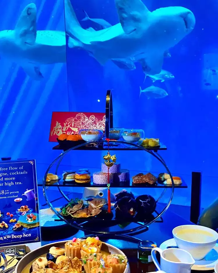 虎年新春去哪裏玩？盤點2022新年限定活動✨花展燈飾逛不停，虎到福也到