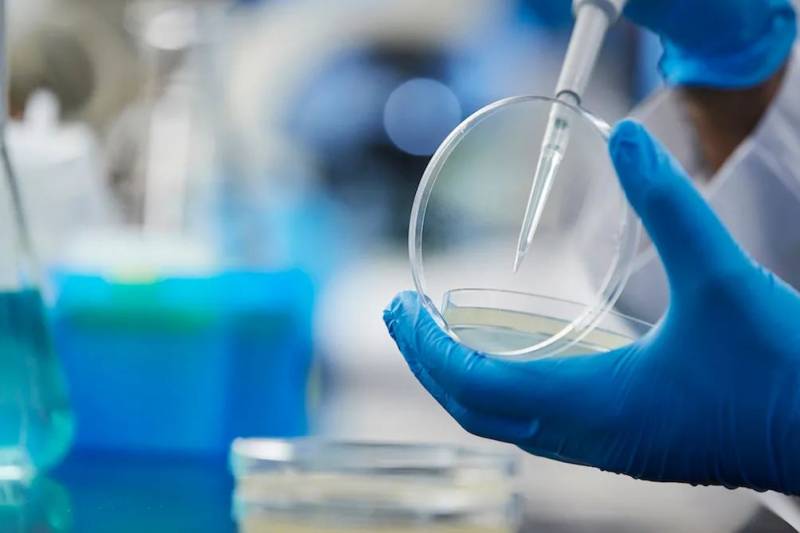 再也不用戳鼻孔！新加坡发明的超舒适新冠检测方法来啦