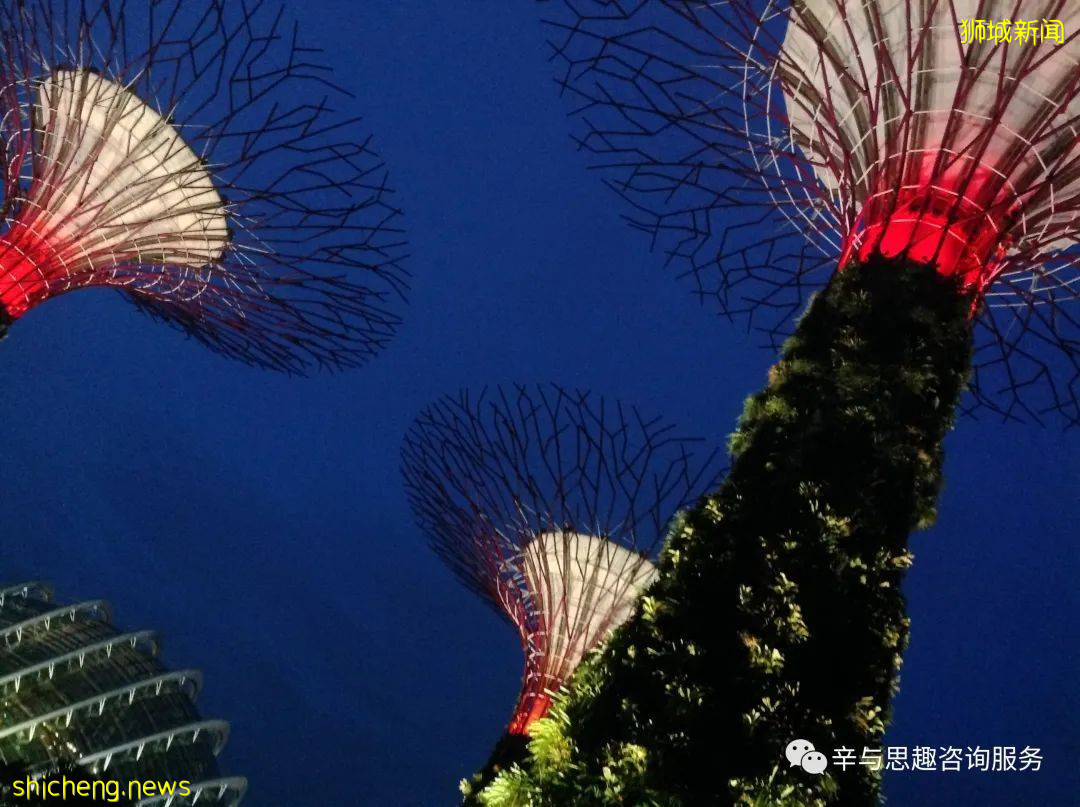 新加坡旅游攻略及指南