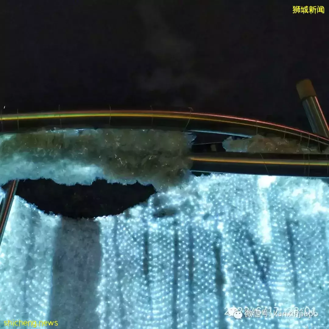 新加坡"最美燈光展"裏面還能吃喝玩樂！僅剩最後一周