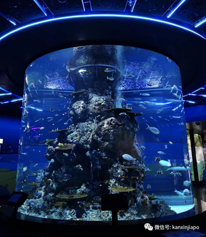 年末假期,教你如何在新加坡找“雪花”、小黃人和聖誕老公公