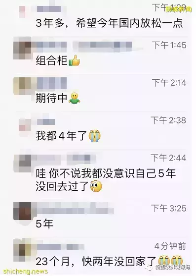 采访了100个在新加坡的人,你有多久没回国了?答案震惊了