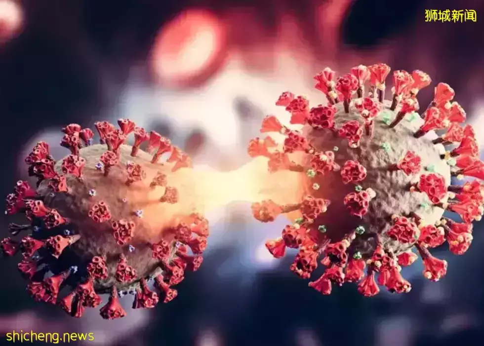 271例，在​新加坡同時感染奧密克戎和德爾塔，恐變異成超級病毒？