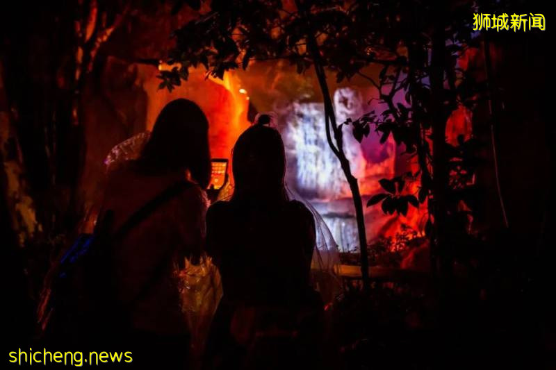 新加坡動物園沉浸式多媒體夜行體驗“RAINFOREST LUMINA”|CAAPA周末分享!