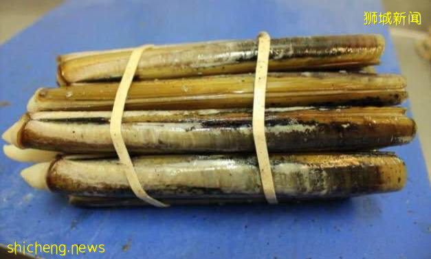 2021新加坡米其林榜出爐!種草高級海鮮食材:帝王蟹、加拿大青口、蘇格蘭竹蚌