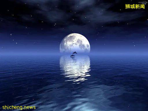 吹爆这几款神仙月饼,闭眼买都不会错!早鸟优惠,迅抢