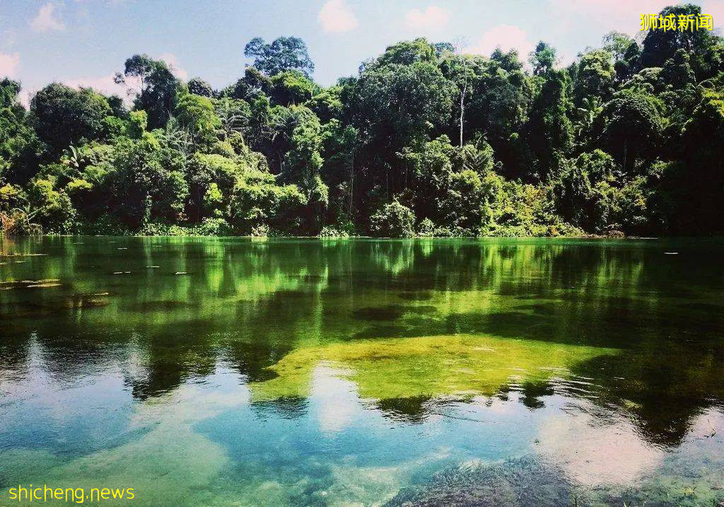 【鳥瞰新加坡】花園城市 5個最美的新加坡公園