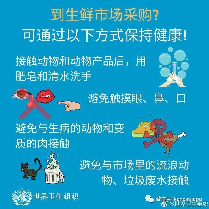 新加坡推出超严抗病毒措施,下飞机可能直接被隔离!