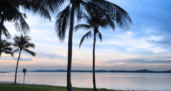 玩在獅城 周末一起去大自然裏野餐——新加坡最適合野餐的十大自然公園