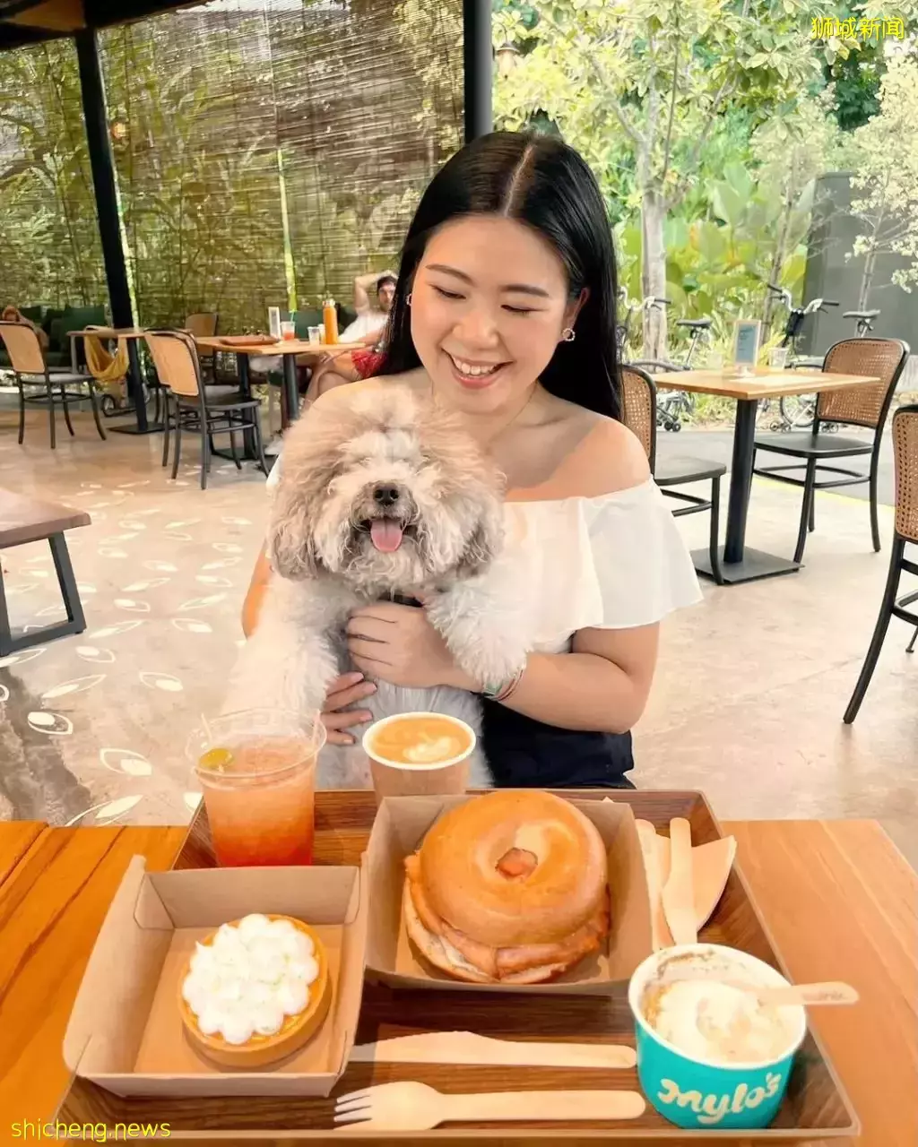 吃喝撸狗兩不誤!新加坡15家寵物友好咖啡廳 · 快上小可愛一起去體驗吧