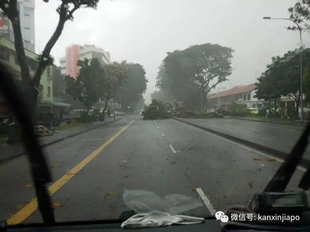 世界末日既视感，磅礴大雨似海啸来袭！新加坡昨4小时降了半个月的雨量