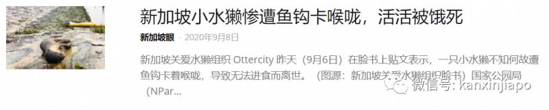 胆大!少年在重要基地垂钓,准备3000新币缴罚金