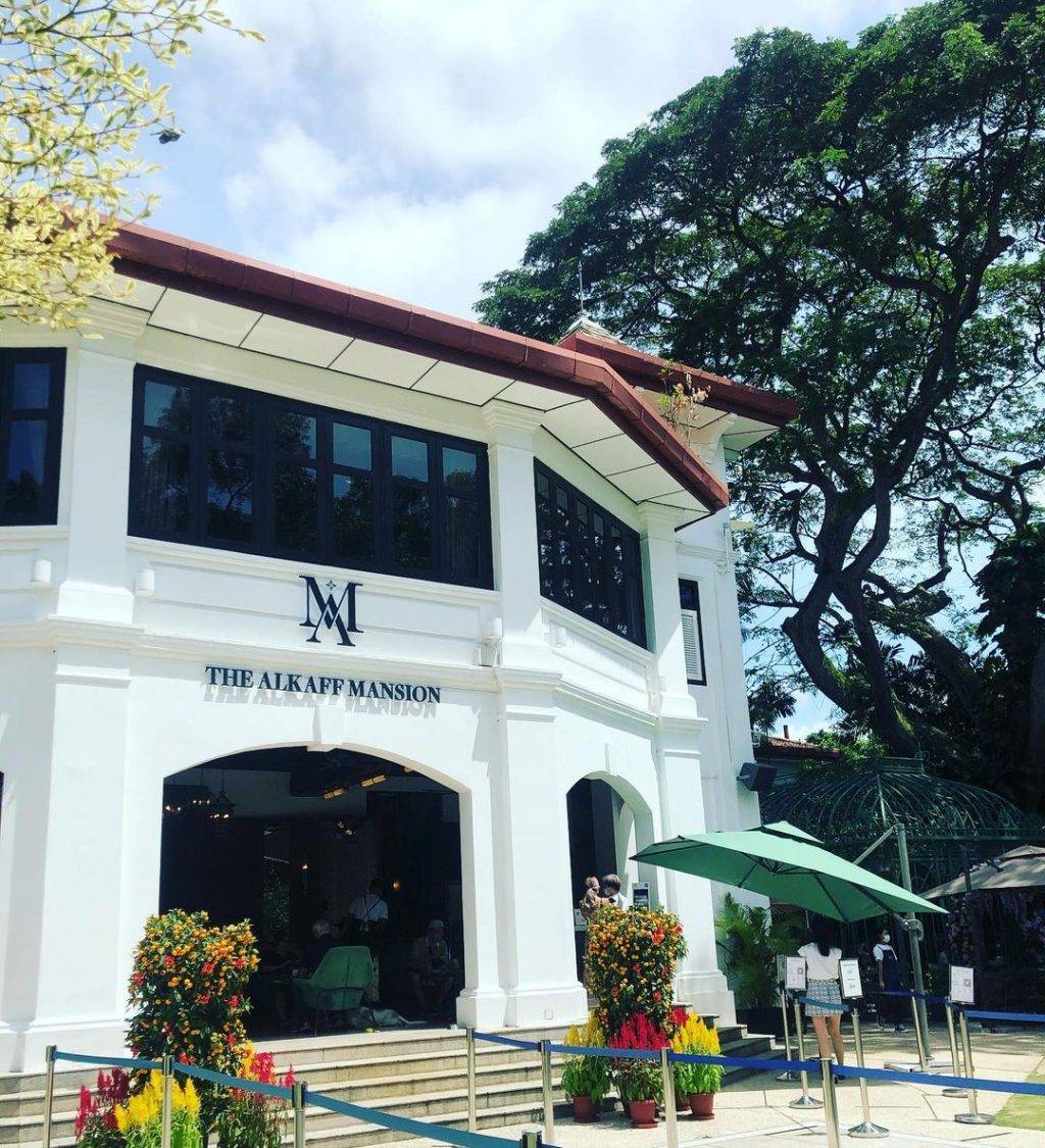 花园探店☕️ 隐藏版森系咖啡馆Wildseed Cafe🌹 经典复古建筑+巨型铁栅鸟笼,浓浓异国气息