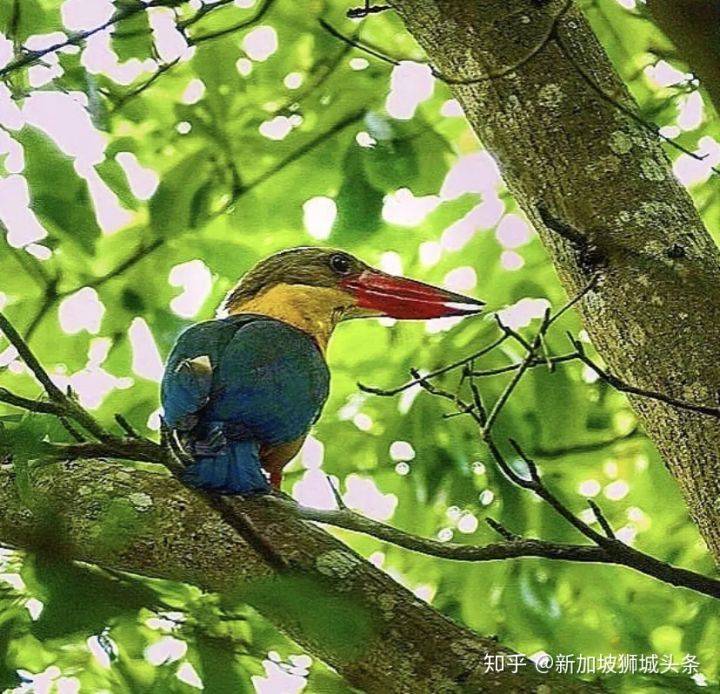 旅行的意義—攝影攻略之巴西立地鐵站