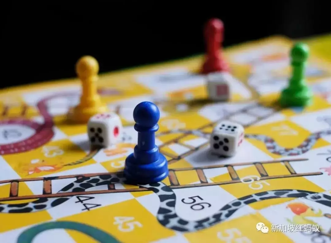 新加坡卫生部长：与未知新敌人奥密克戎博弈，像在下一盘蛇梯棋