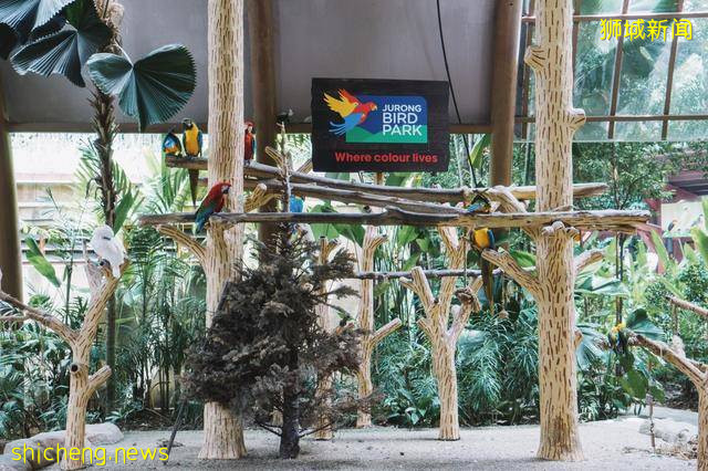 想成为“迪士尼在逃公主”？新加坡有个地方，轻易与精灵共处一室