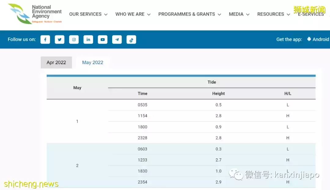 新加坡“趕海”全攻略!遇見了這麽多神奇的生物