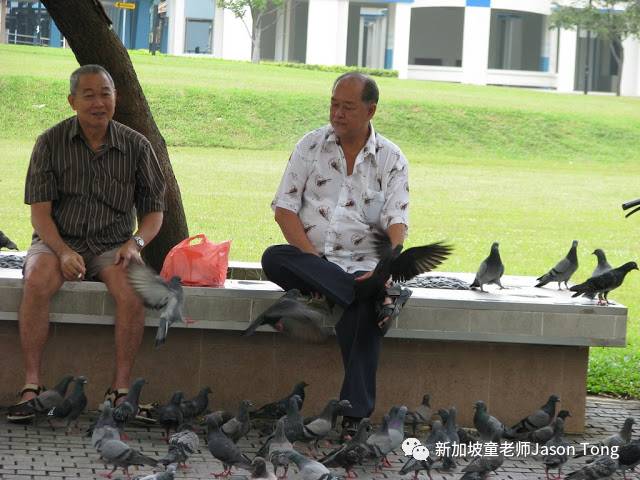 新加坡的公积金制连续12年获评为亚洲最佳,新加坡养老到底如何