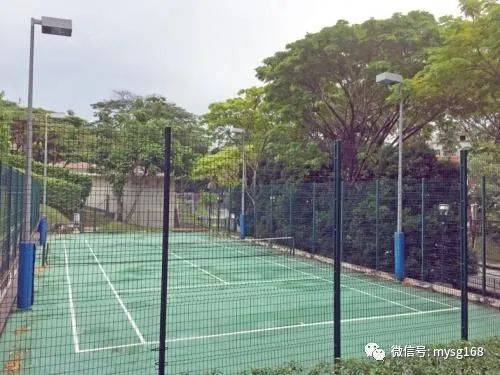 新加坡國際學校名校 華中國際學校