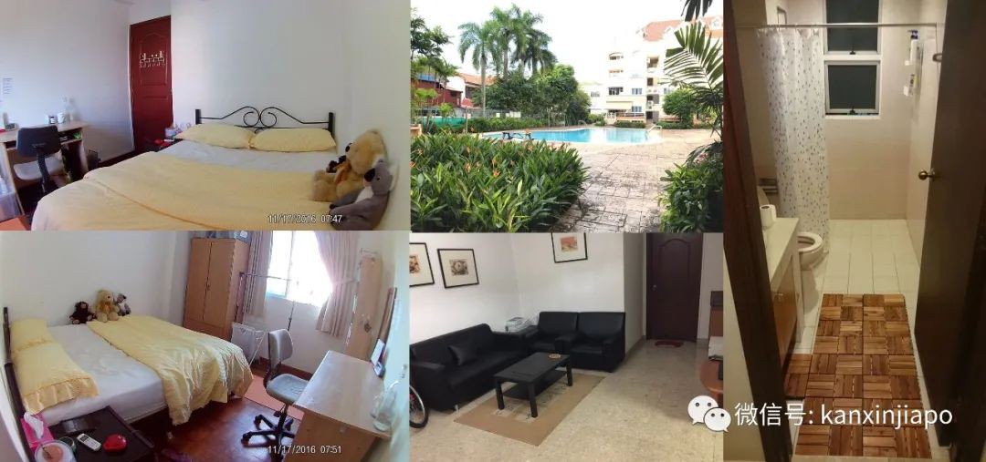 新加坡最大租房群在这!出租求租信息持续更新ing