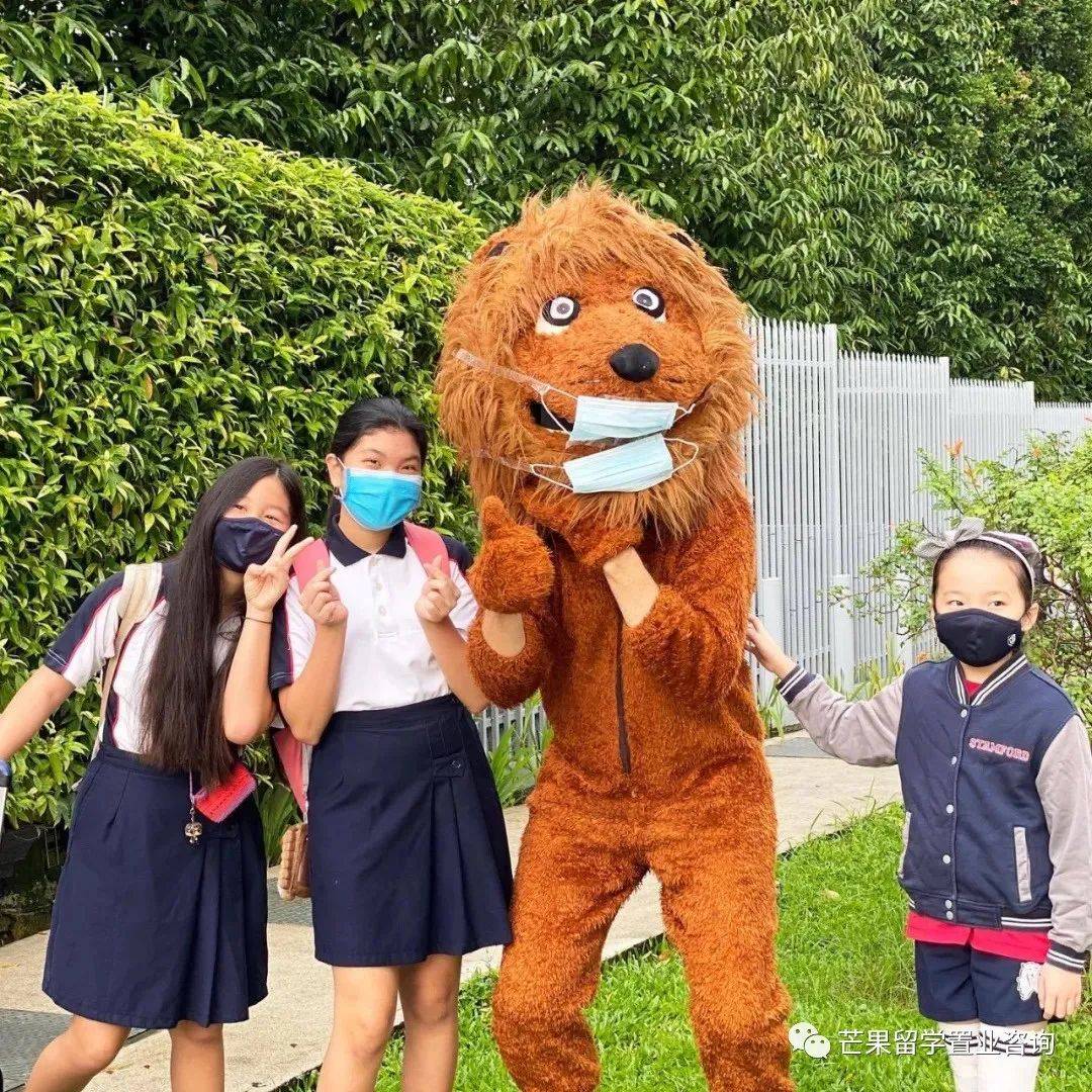 明星贵族都选择的国际学校:新加坡史丹福美国国际学校SAIS