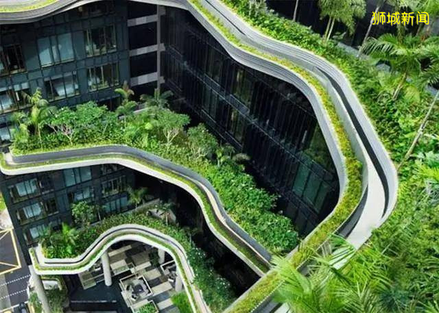 “被迫獨立”的重要港口到“亞洲四小龍”，新加坡走了55年