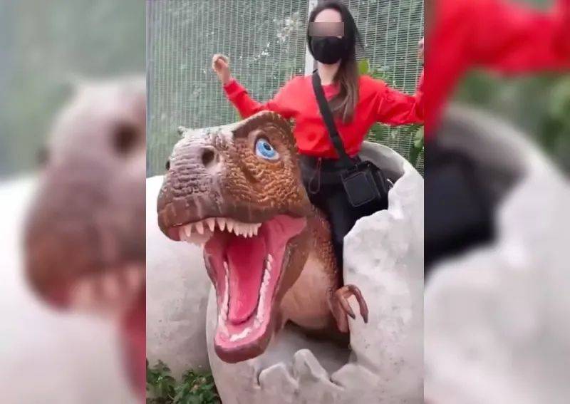開幕不到一周, 樟宜機場連道一只小恐龍被當馬騎,5顆牙齒被拔光