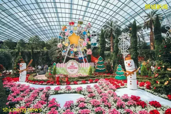 在Gardens by the bay享受节日下午茶!还可以免费进入Flower Dome哦