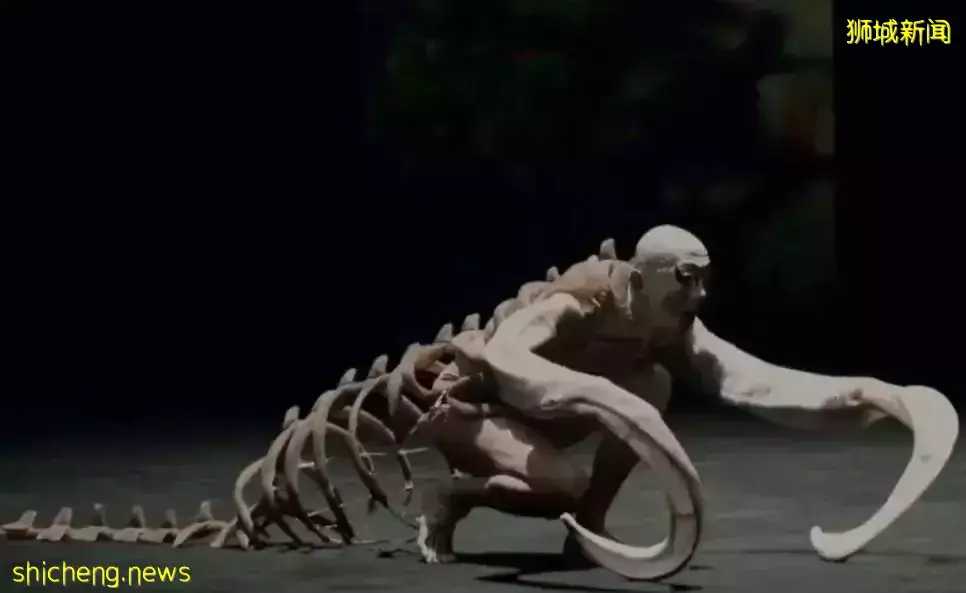 新加坡网友投诉邻居葬礼太吓人，瞬间想到冷清、诡异、惊悚的东京奥运会开幕式