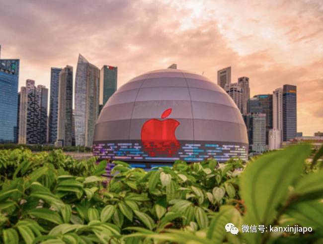 終于可以“出國”了?新加坡原來還有這些秘密基地