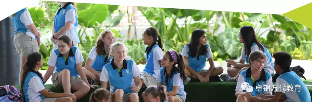 新加坡國際學校 【3】萊仕國際學校Nexus