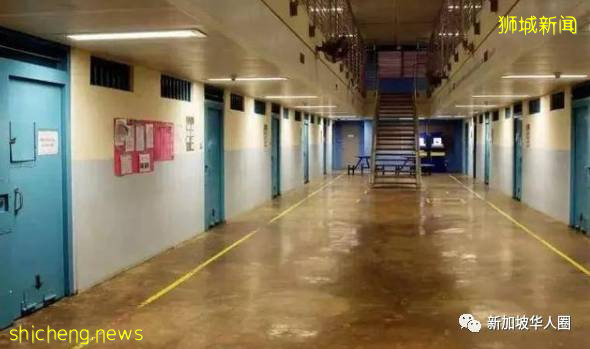 新增262例!新加坡發現染病首周,大量病毒附著物體表面和空氣中!