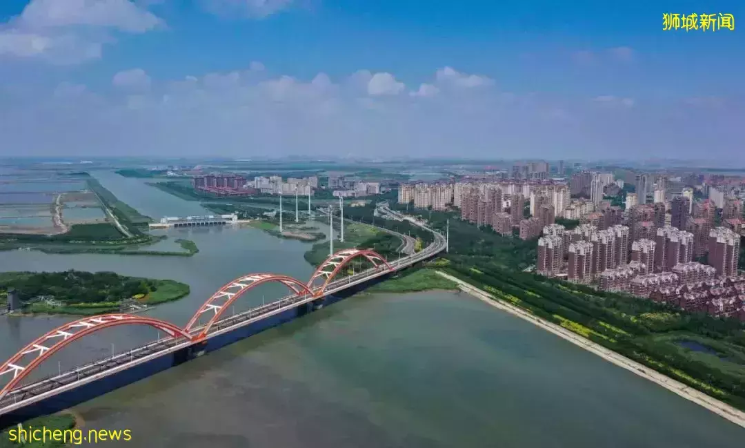 全網熱議！吳尊送娃去中國上學，張柏芝離開坡回上海定居！新加坡不香了