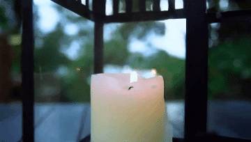 在新加坡野生動物園來一場VIP營地晚宴是怎樣非凡的體驗