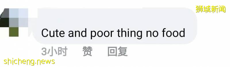 解封首个周末奇葩事件！温泉轮流泡脚10分钟、野猪野鸡也疯狂