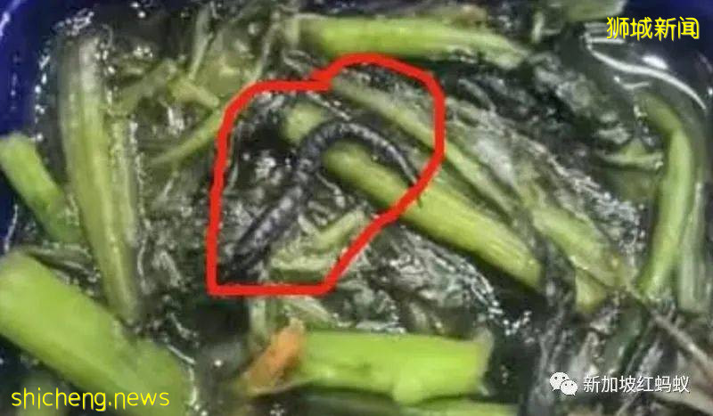 中國籍客工的宿舍夥食大改善！　新加坡人力部：該宿舍大多數客工未接種疫苗