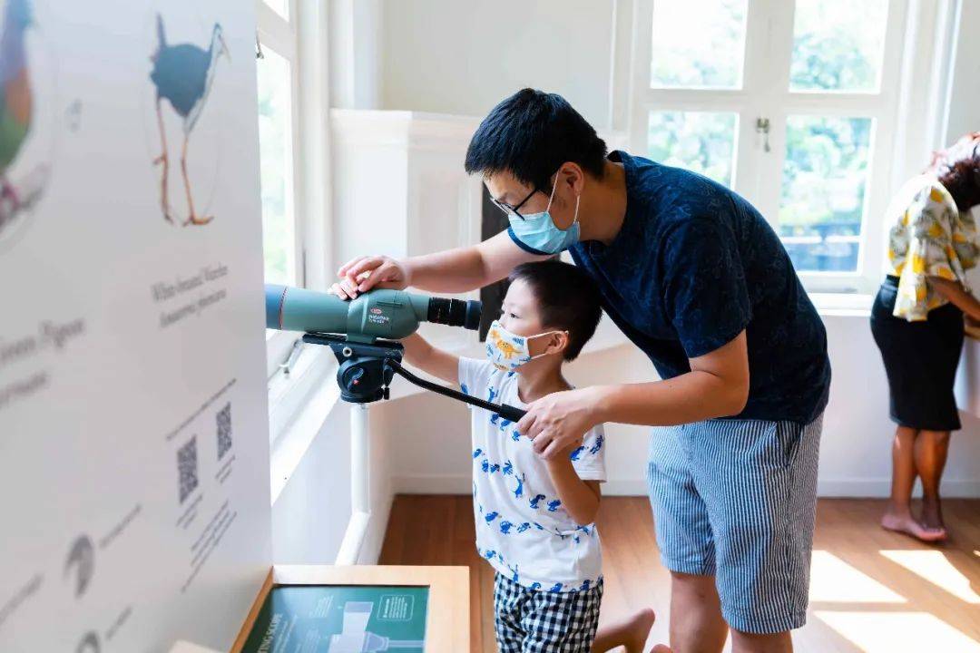 新加坡植物園爆火新景點,不知道怎麽去?手把手教你遊玩攻略