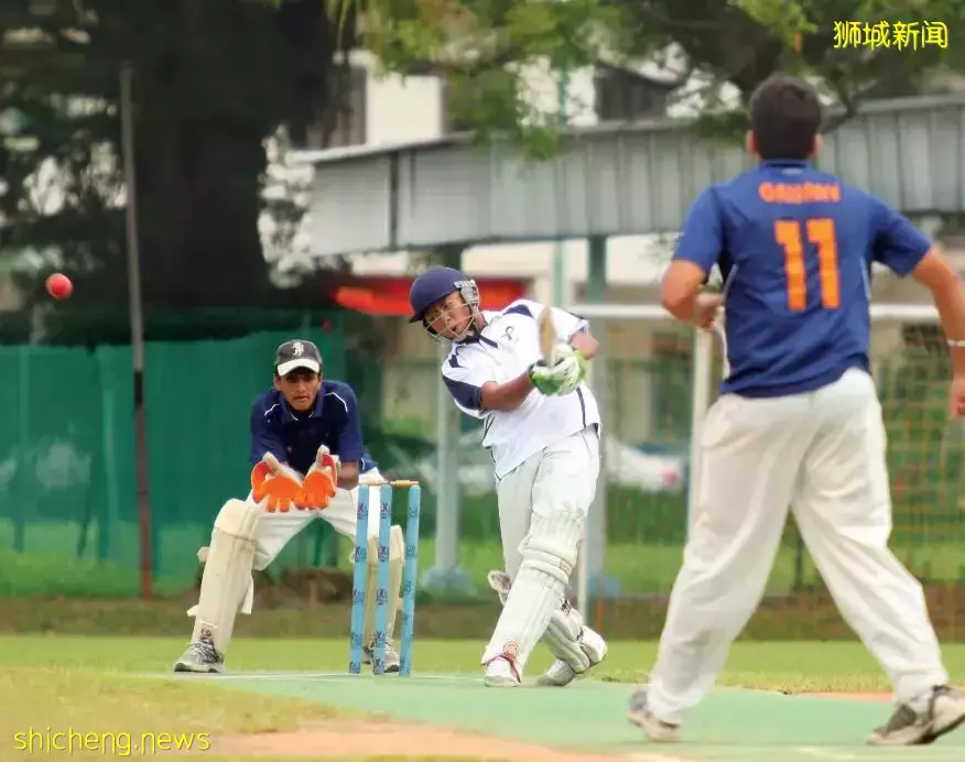 新加坡中学择校指南都在这,更不要错过IP直通车计划、中学直接招生计划DSA