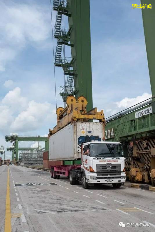 中國人對進口食品情有獨鍾,新加坡人卻偏愛國産和馬國雞蛋! 真有那麽好吃